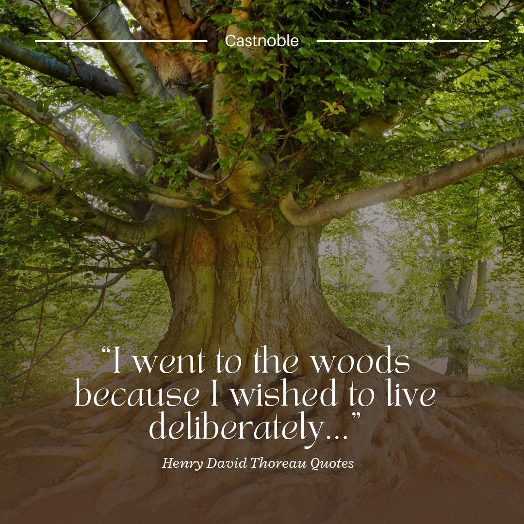 25 Of The Best Henry David Thoreau Quotes – Castnoble